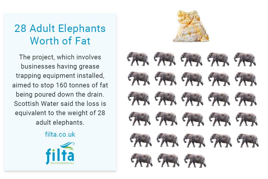 28 Elephants Worth of Fat - Filta Environmental - UK