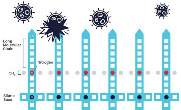 ZOONO_Molecule-diagram Coronavirus Covid 19 Specific-Touch-Points