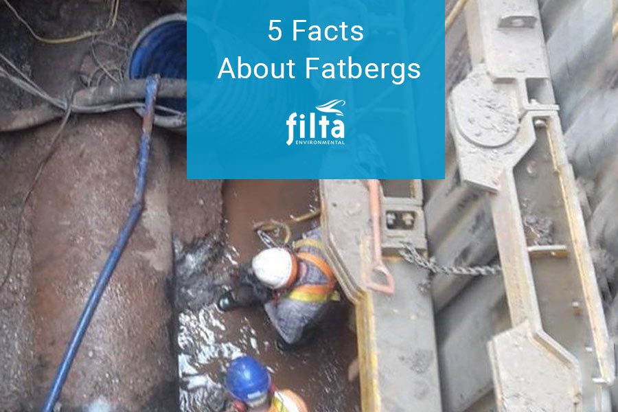 5 Facts About Fatberg - Sewer Blockage UK - Filta Environmental